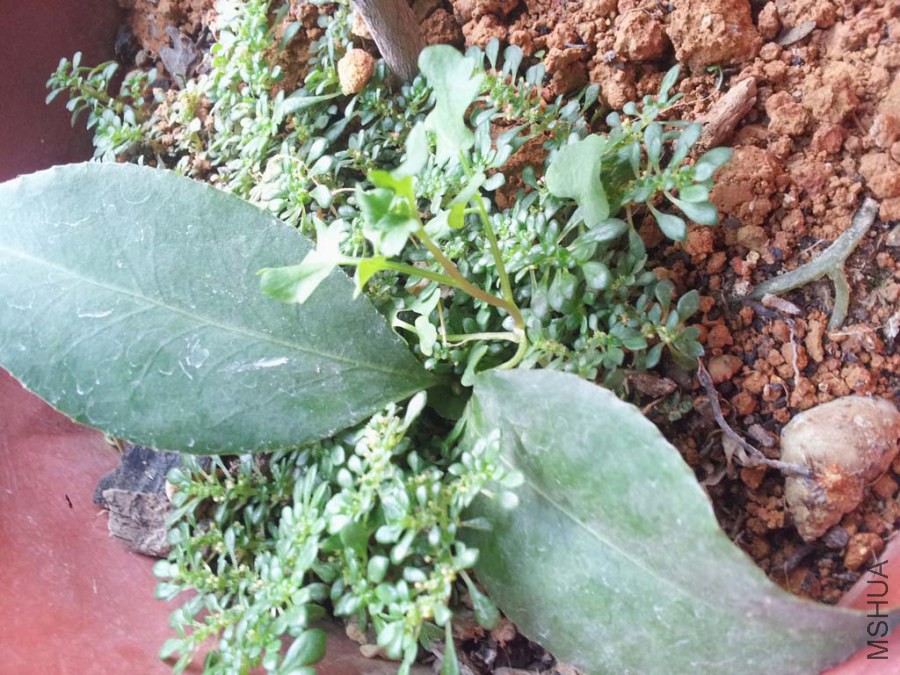 20140726_174310.jpg