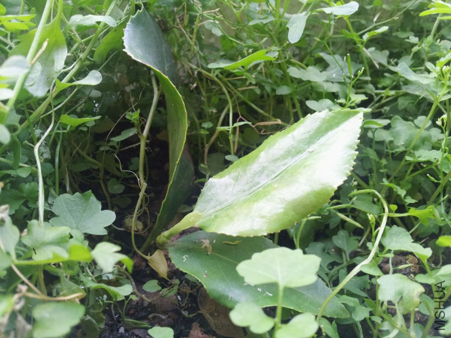 20140729_090457.jpg