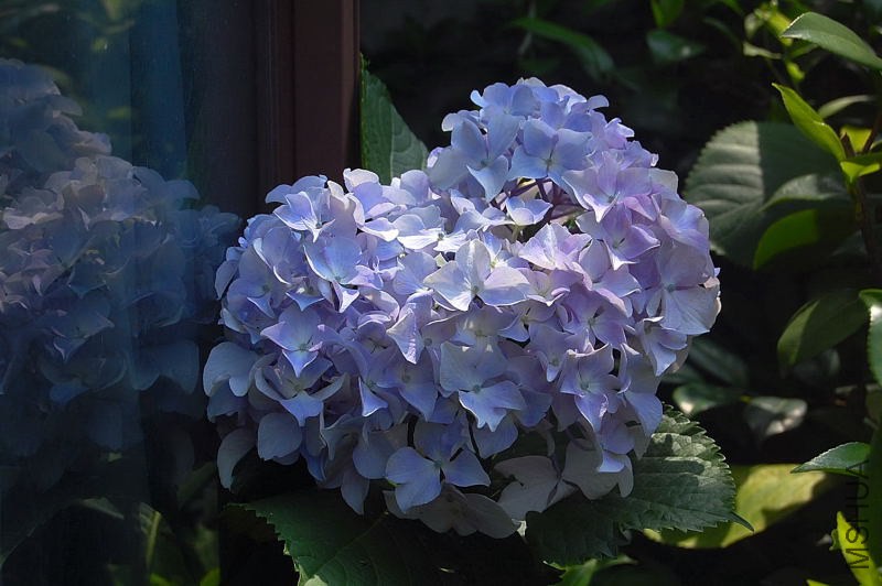 DSC_00090009.JPG