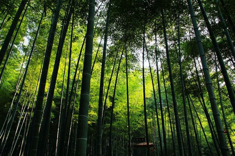 psb (1402)_����.jpg