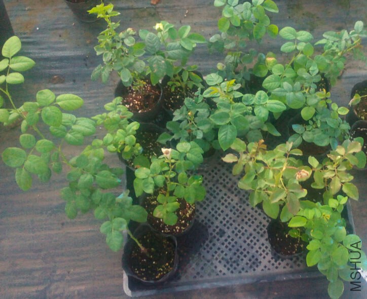 QQ��ͼ20140731213524.jpg