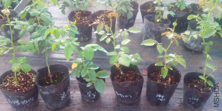 QQ��ͼ20140731213559.jpg