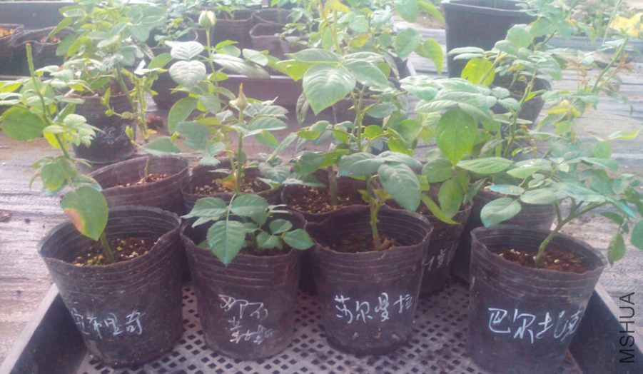QQ��ͼ20140731213549.jpg