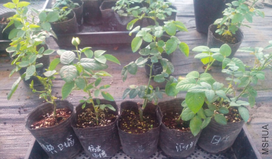 QQ��ͼ20140731213537.jpg