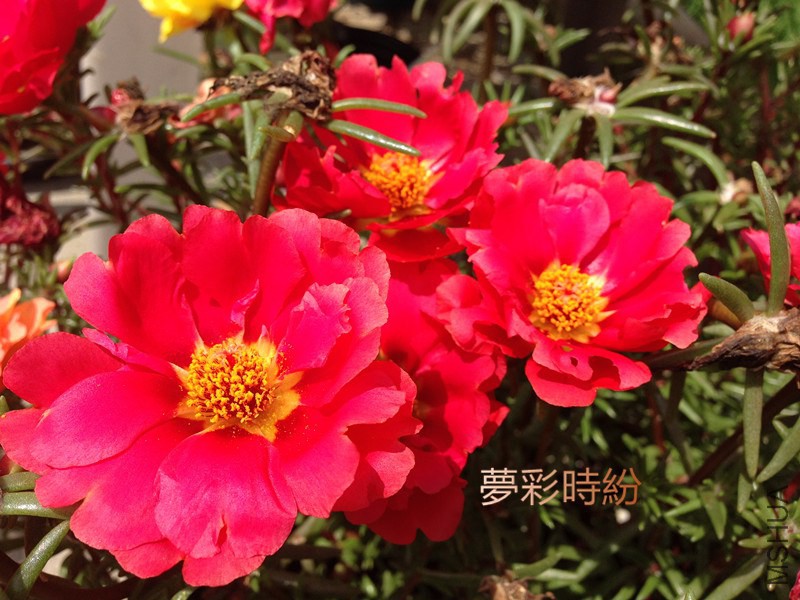 ��¥02.jpg