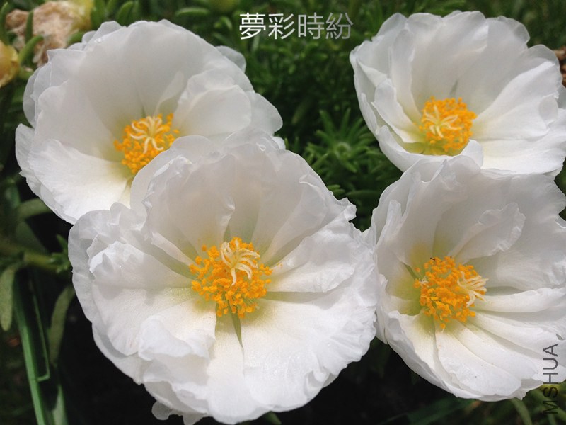 悘�01.jpg