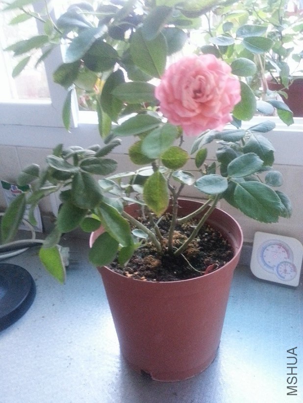 20140730_18464611.jpg