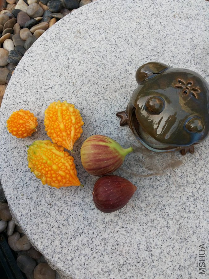 20140803_065130.jpg