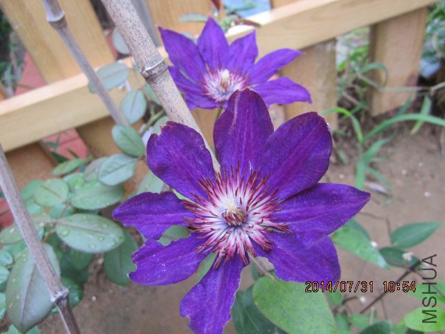 IMG_3936 - ����.JPG