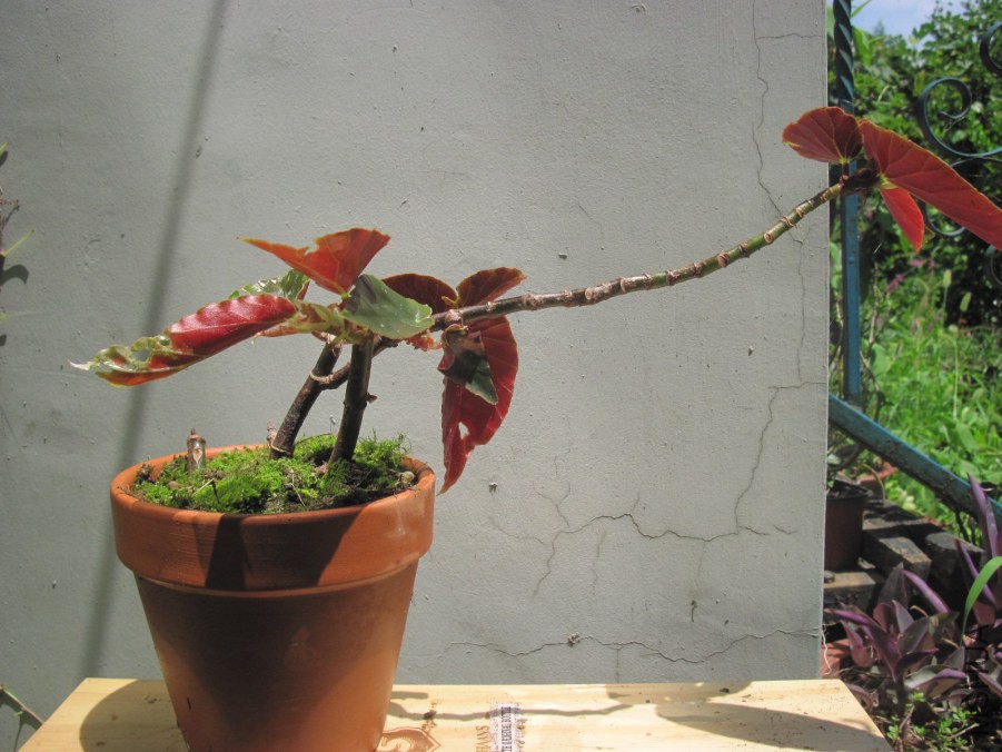 026_����.jpg