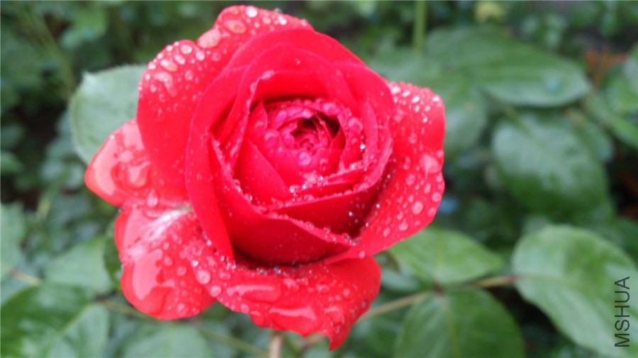 DSC_0576.jpg
