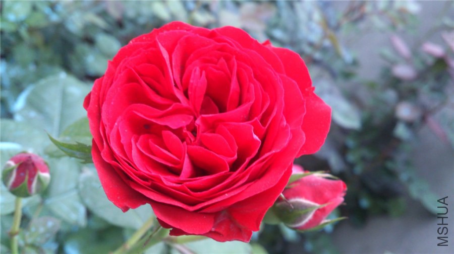 DSC_0373.jpg
