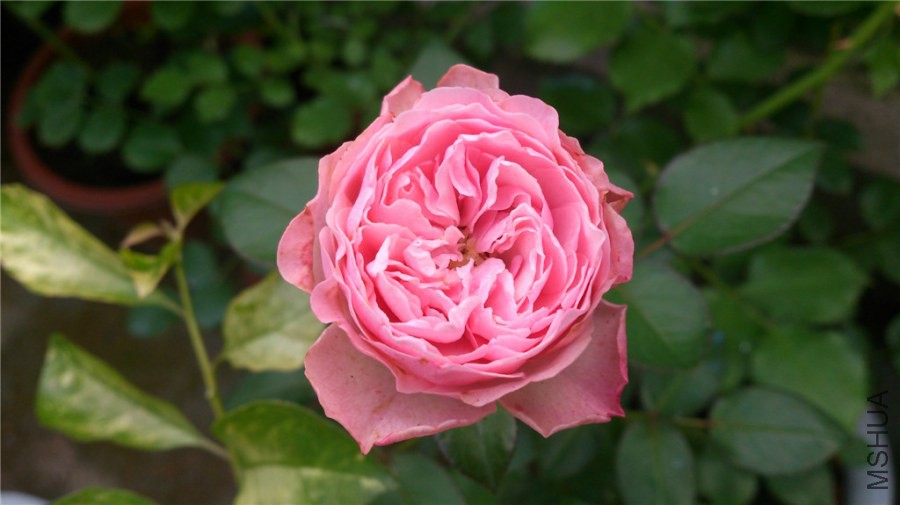 DSC_1047.jpg