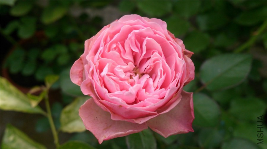 DSC_1048.jpg