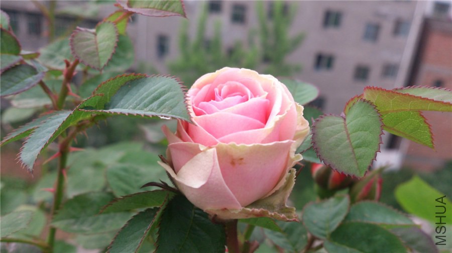 DSC_0187.jpg