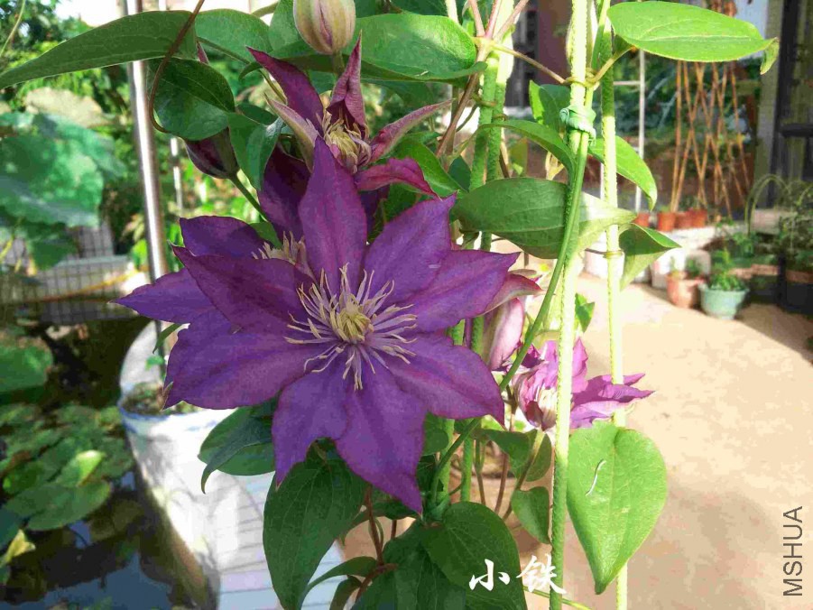 20140704_070318.jpg