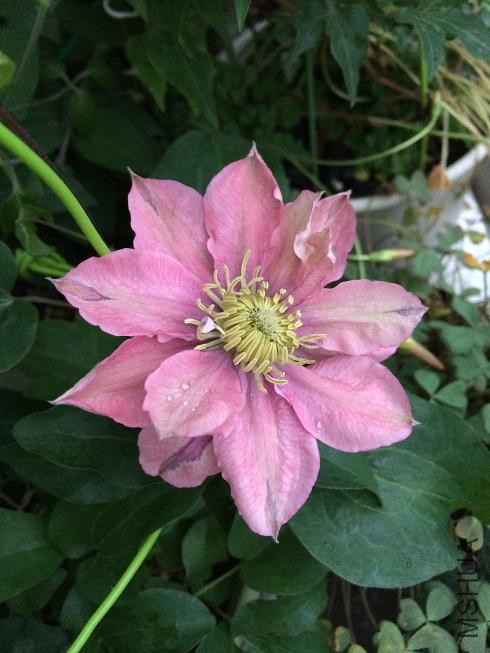 ���������