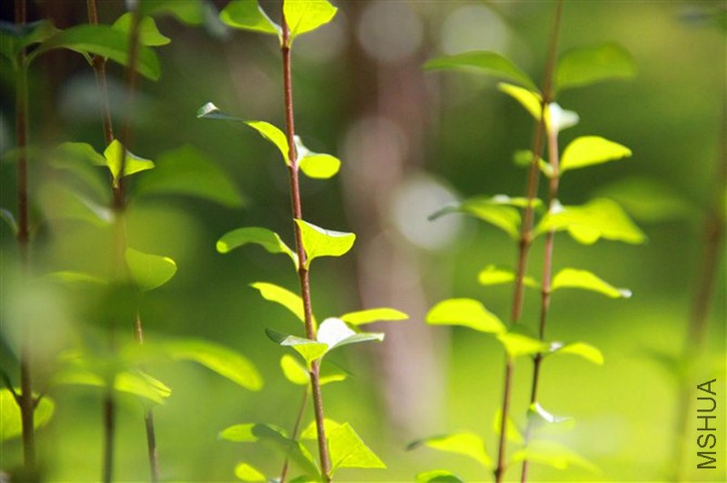 psb (48)_����.jpg