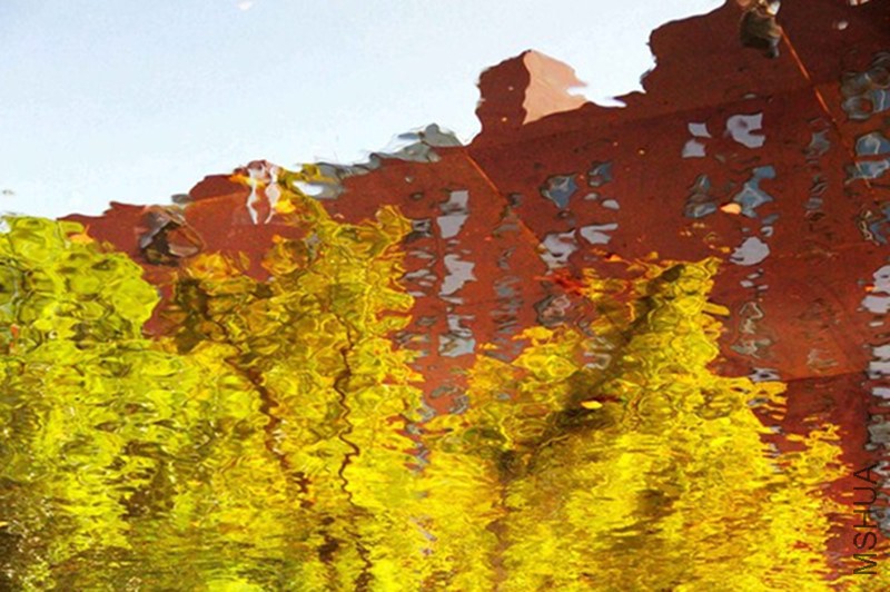 psb (53)_����.jpg