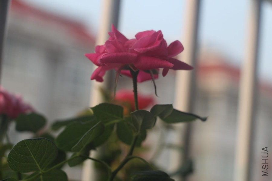�ҼҵĻ��� 007_����.jpg
