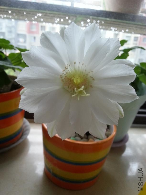 20140702_072302.jpg