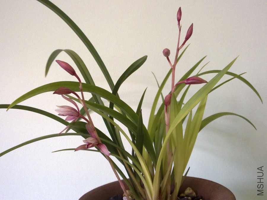 20120723231.jpg