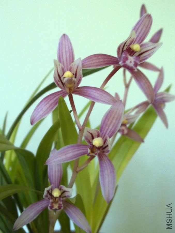 20120725253.jpg