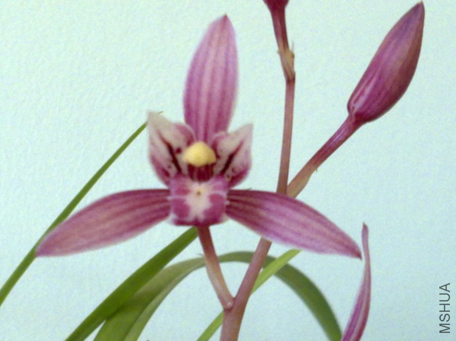 20120725245.jpg