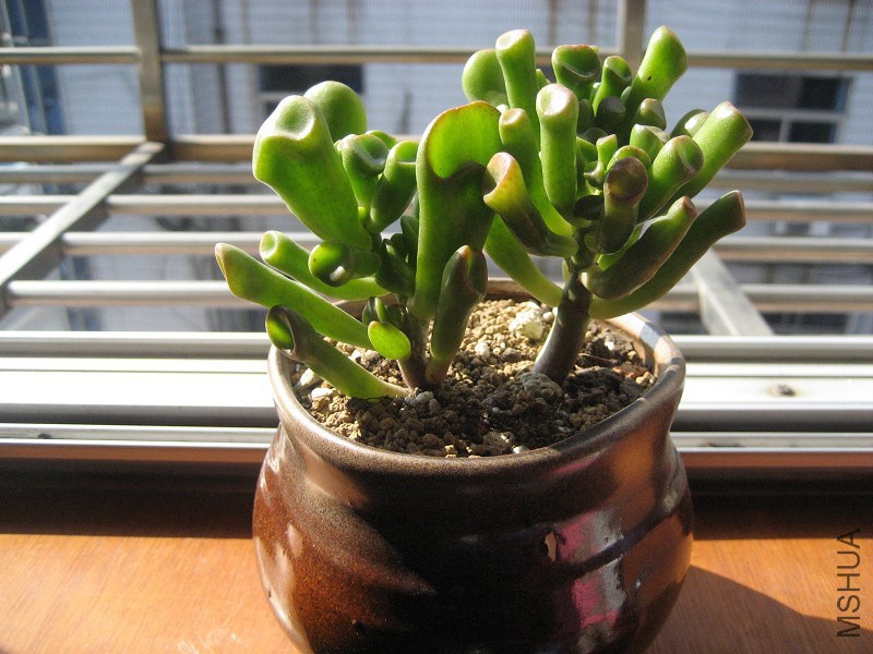 20130309.jpg