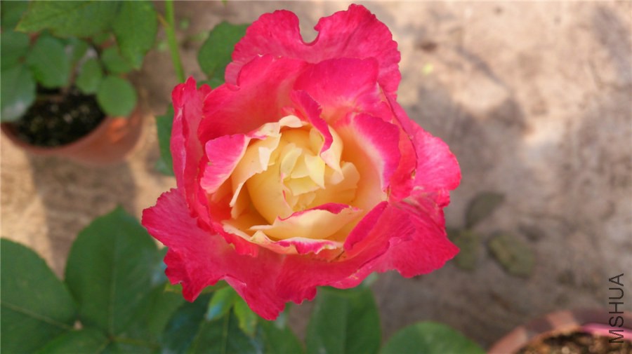 DSC_1024.jpg