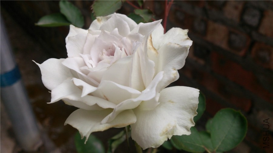 DSC_1062.jpg