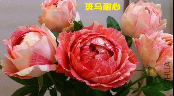 4ad0d288d43f8794c5e9ef87d01b0ef41ad53a9e.jpg