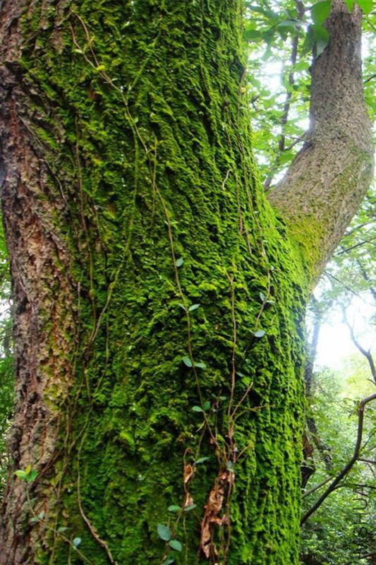 psb (1406)_����.jpg