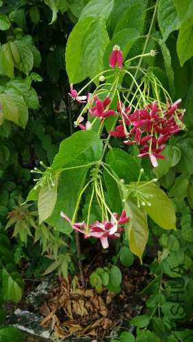 IMG_20140807_183730.jpg
