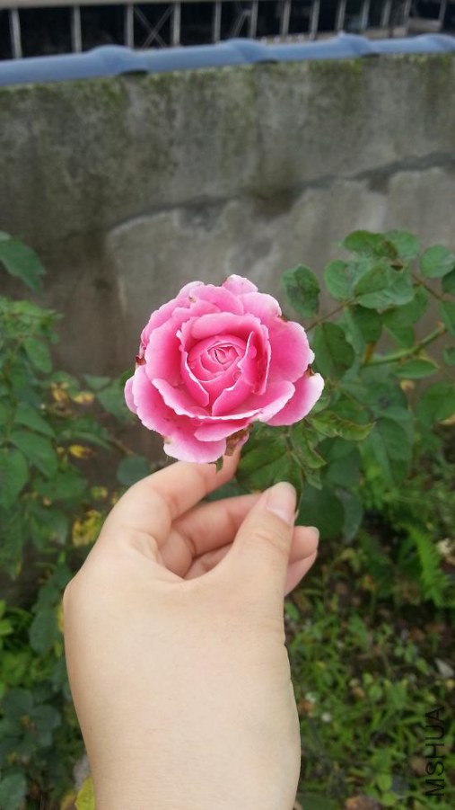 20140807_155232.jpg