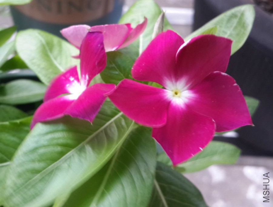 20140727_164945_meitu_3.jpg