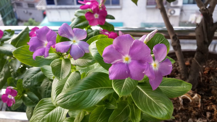 20140809_174413_meitu_9.jpg