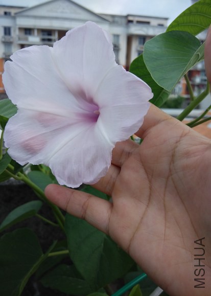 ˿���Ử�ĸо�