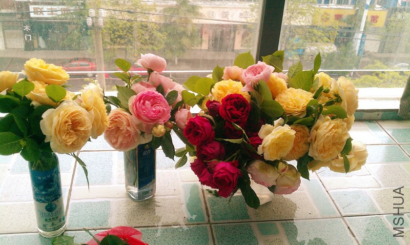 IMAG0469.jpg