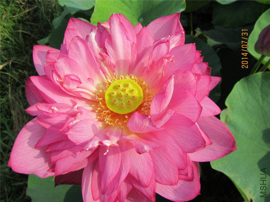 IMG_3399.jpg