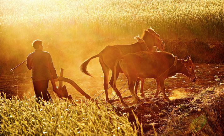 ���ص�ũ��