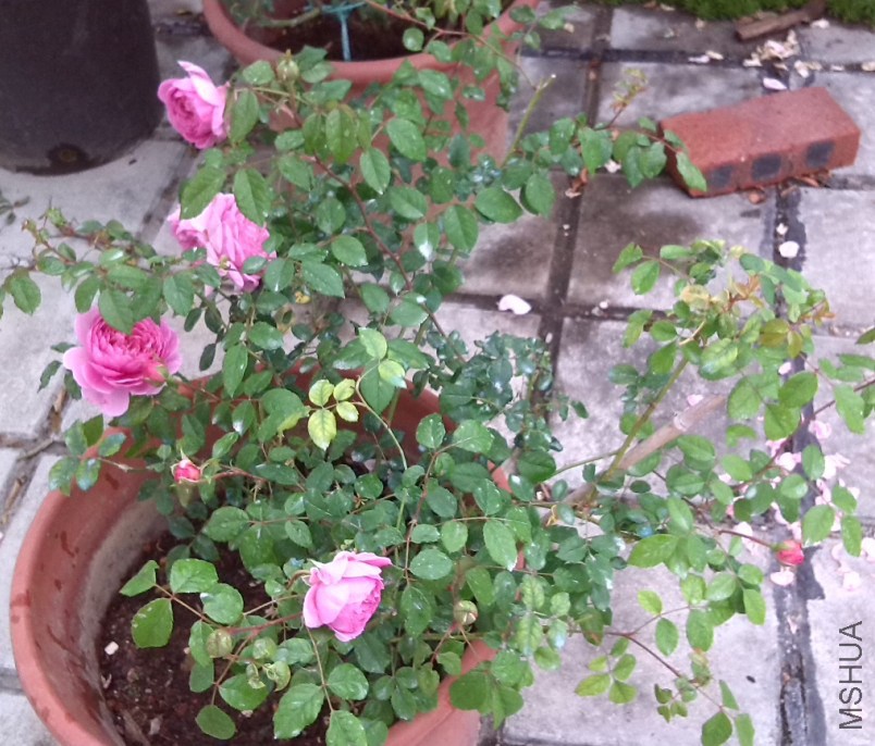 QQ��ͼ20131129151704.jpg