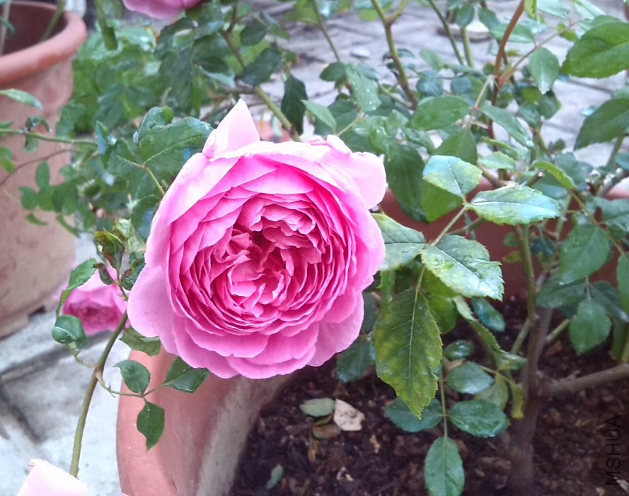QQ��ͼ20131129151631.jpg