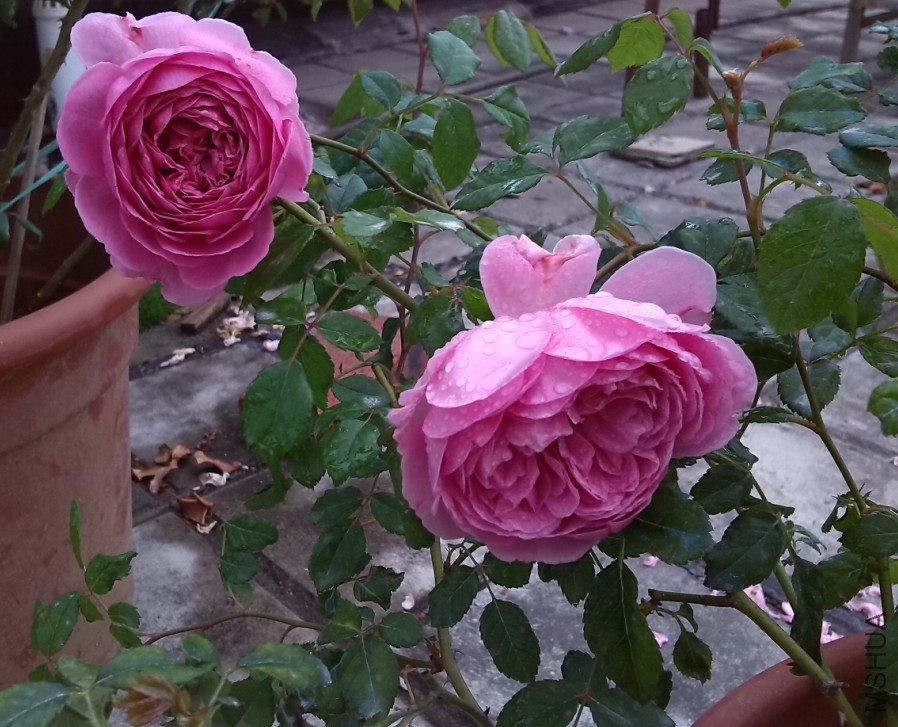 QQ��ͼ20131129151642.jpg