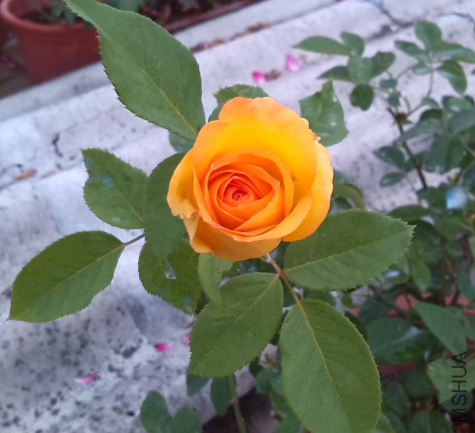 ����