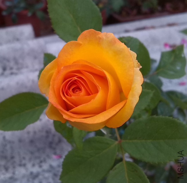 QQ��ͼ20131129151734.jpg