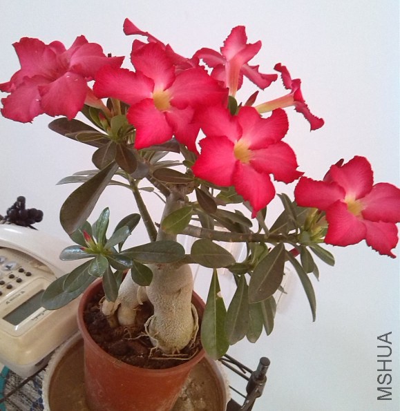 QQ��ͼ20140323222008.jpg