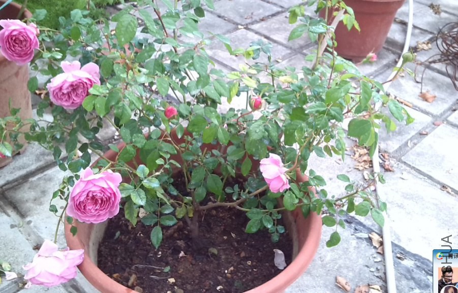 QQ��ͼ20140323222135.jpg