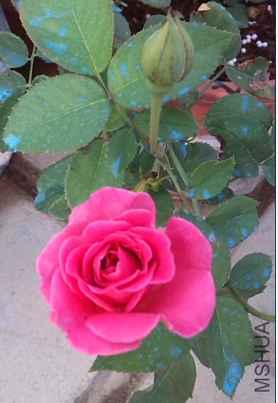 QQ��ͼ20140620085533.jpg