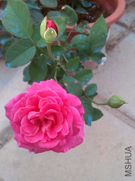 QQ��ͼ20140620085308.jpg